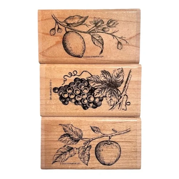 Stampin’ Up “Sun Ripened II” Lemon Grape Apple Tree Harvest Rubber Stamp Set - Picture 2 of 11
